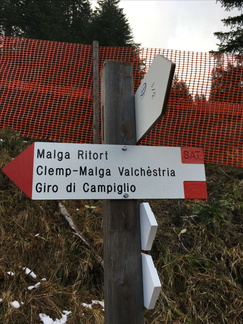 O217-ldp003-00145516