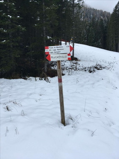 O217-ldp004-01144242