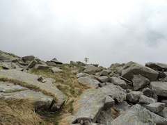 O218-ldp001-00-p4-160630-MP