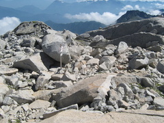 O218-ldp002-00-p2-160828-DR