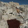 O218-150807-td-117