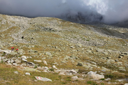 O219-160913-td-5114