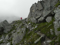 O219-RifSegantini-Passo4Cantoni-2012-td-50