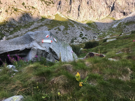 O220-ldp002-00-d02-180828-ED