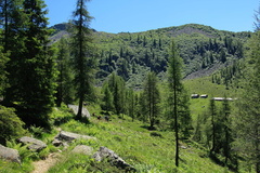 O221-Malga-Garzone-160717-td