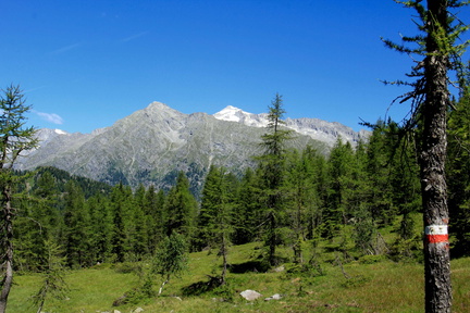 O221-pr-Malga-Germernega-di-Mezzo-160717-td-MG-9417