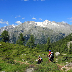 sentiero