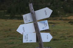 O222-ldp004-00-d01-160901-MP