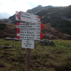 O223-ldp003-00-d1-161007-MCF-155317