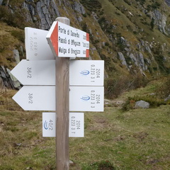 O223-ldp003-00-d2-161007-MCF-155330