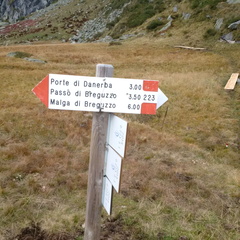 O223-ldp003-00-d2-161007-MCF-155338