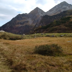 O223-ldp003-00-p1-161007-MCF-155219