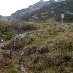 O223-ldp003-00-p2-161007-MCF-155433