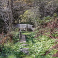 O223B-171006-DA-7348