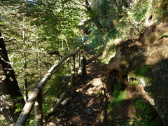 O224-383-salendo-verso-Malga-Coel-di-Vigo-161021-gigi-1210383