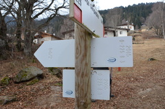 O225-ldp008-00-d03-170110-ED