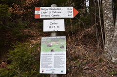 O225-ldp010-00-d01-170110-ED