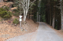 O225-ldp010-00-p01-170110-ED