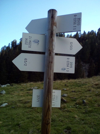 O225A-ldp001-00-d3-161012-MCF-130115 (21 visite) O225A-ldp001-00-d3-161012-MCF-130115