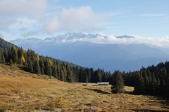 O225A-161021-td-1-MG-6444-pascolo-Stablo-Marc