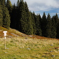 O225A-td-161021-436