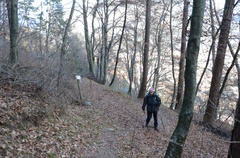 O225B-ldp003-00-p01-170110-ED