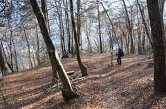 O225B-ldp004-00-p01-170110-ED