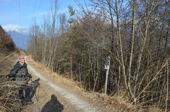 O225B-ldp005-00-p02-170110-ED