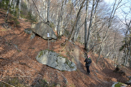 O225B-ldp007-00-p01-biviobassoS.Chiara-140110-ED