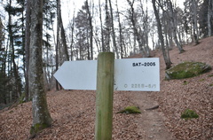 O225B-ldp008-00-d02-daverificare-170110-ED