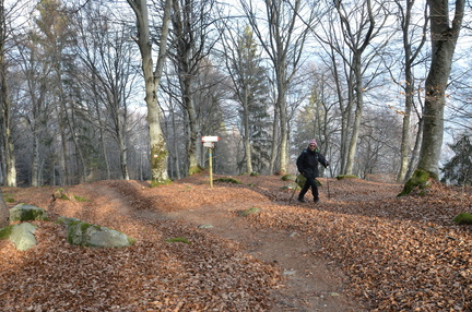 O225B-ldp009-00-p01-bivioaltoS.Chiara-170110-ED