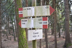 O225B-ldp010-00-d01-170110-ED