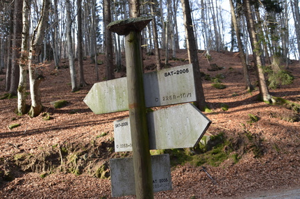 O225B-ldp010-00-d02-170110-ED