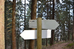 O225B-ldp011-00-d02-biviobassopizeBuse-170110-ED