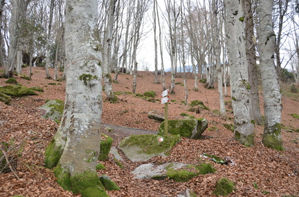 O225B-ldp014-00-p02-170110-ED