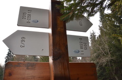 O225B-ldp016-00-d02-170110-ED