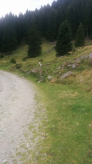 O225B-ldp020-00-p02-170812-GC