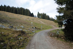 O225B-ldp020-00-p1-161104-td