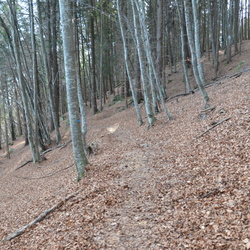 sentiero