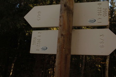 O225C-ldp004-00-d02-td-161021-509