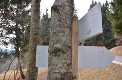 O225C-ldp005-00-d03-170110-ED