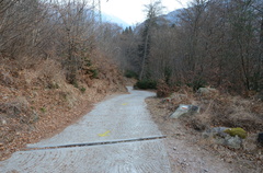 O225C-102-strada-cementata-170110-ED