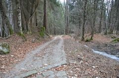 O225C-105-strada-cementata-170110-ED-2