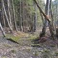 O225C-107-da-Maftina-verso-Pescagol-170110-ED