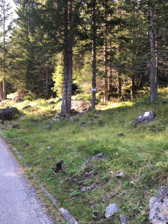 O227-ldp001-00-p01-180828-ED