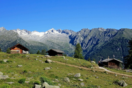 O230-160717-td-Malga-Campo