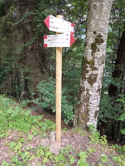 O231-ldp002-00-d2-220612-DR-