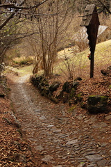 O231-161113-td-mulattiera