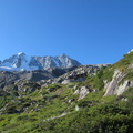 IMG-8539