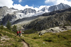 O234-ldp004-00-p1-170814-td-p-4074